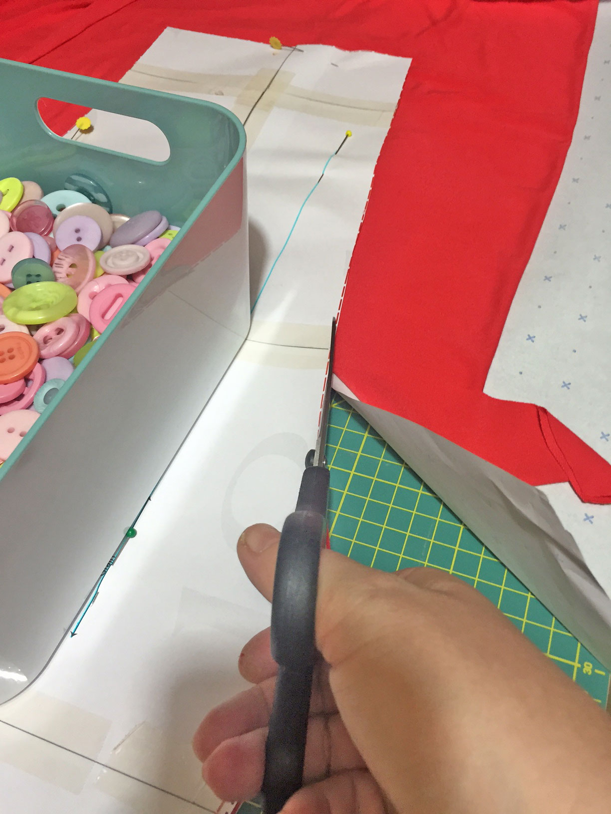 - Plush Addict Blog IMG_1288